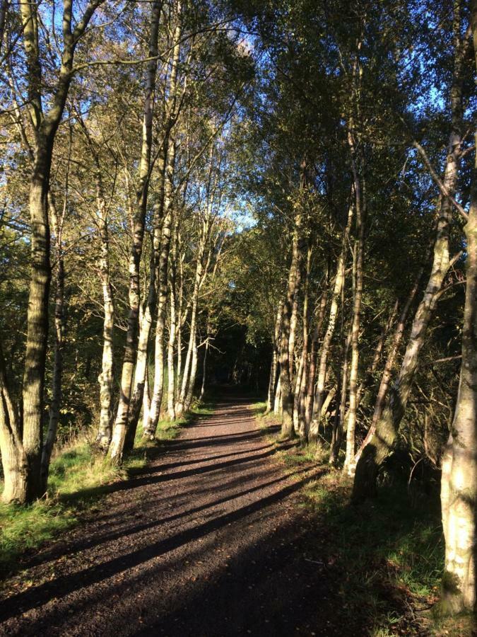 Woodcutters Cottage Haltwhistle Ngoại thất bức ảnh